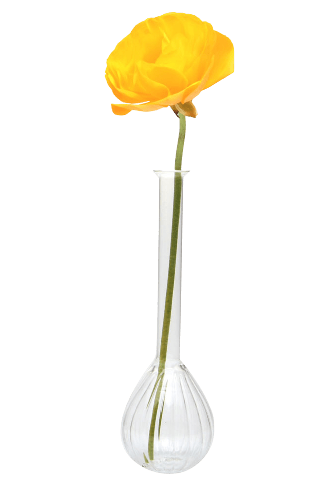 Jeanie Glass Modern Clear Flower Vase - Chive Ceramics Studio - Vases - Chive Ceramics Studio