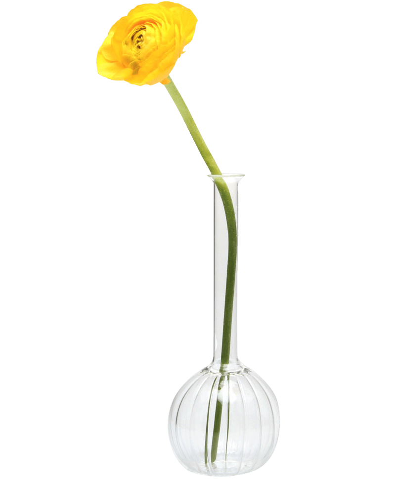 Jeanie Glass Modern Clear Flower Vase - Chive Ceramics Studio - Vases - Chive Ceramics Studio
