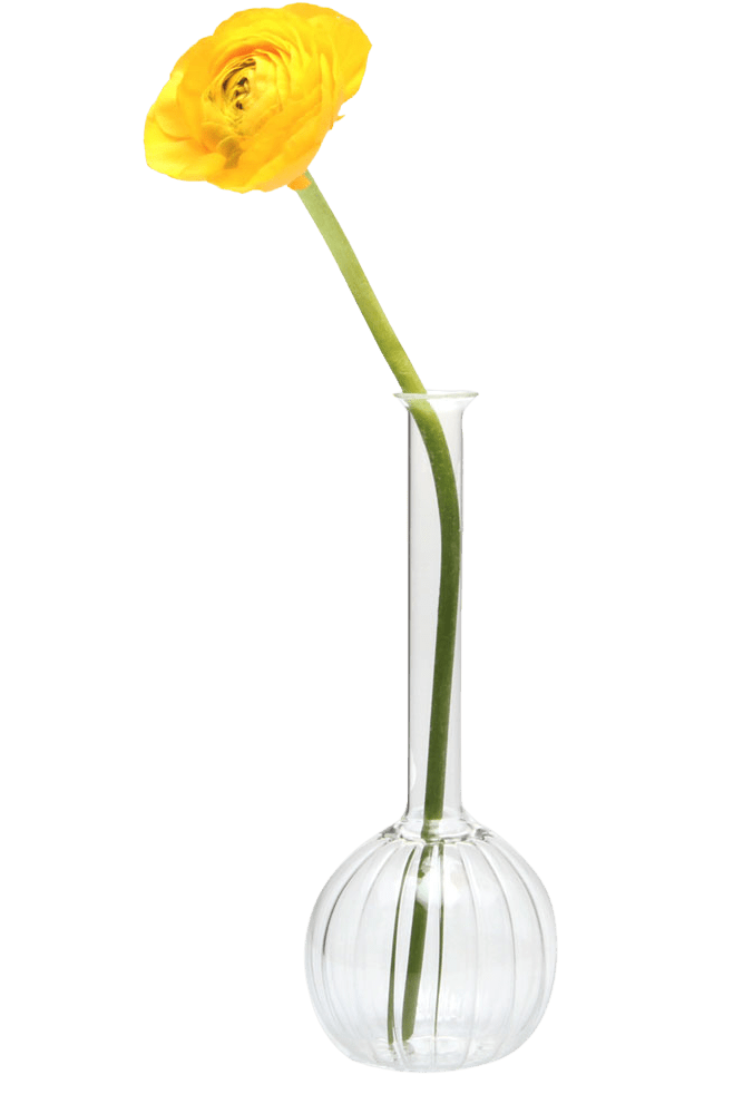 Jeanie Glass Modern Clear Flower Vase - Chive Ceramics Studio - Vases - Chive Ceramics Studio