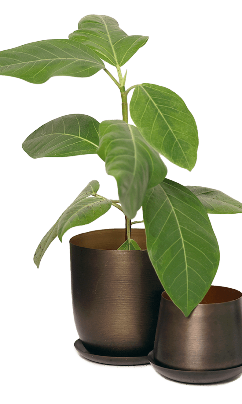 Joe Metal Pot With Drainage Hole | 3 & 5 inch - Chive Ceramics Studio - Pots - Chive Ceramics Studio