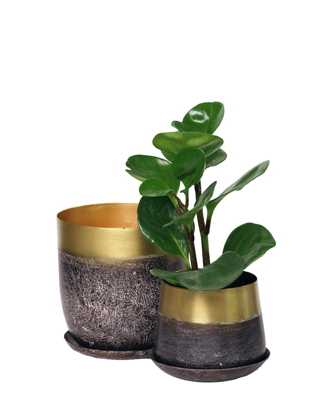 Joe Metal Pot With Drainage Hole | 3 & 5 inch - Chive Ceramics Studio - Pots - Chive Ceramics Studio