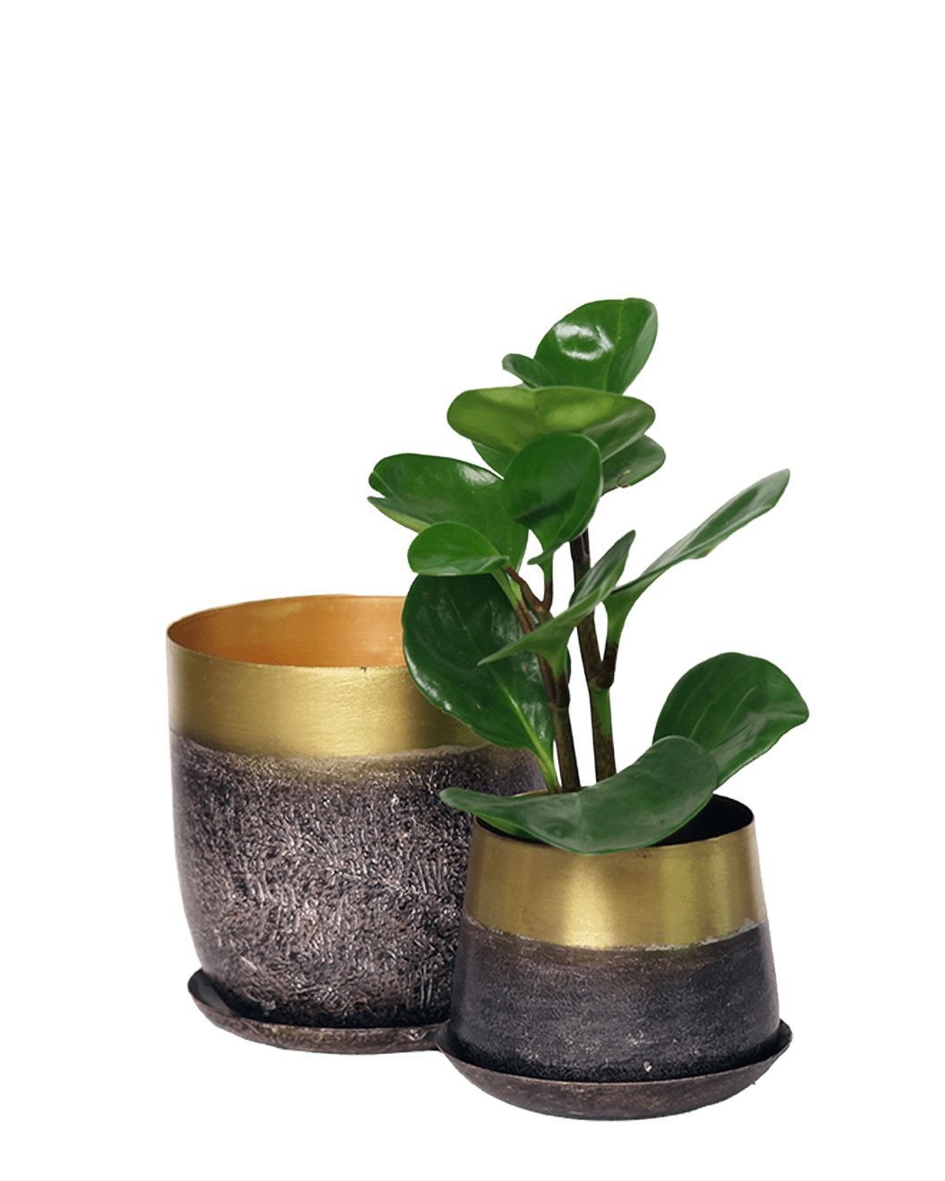 Joe Metal Pot With Drainage Hole | 3 & 5 inch - Chive Ceramics Studio - Pots - Chive Ceramics Studio