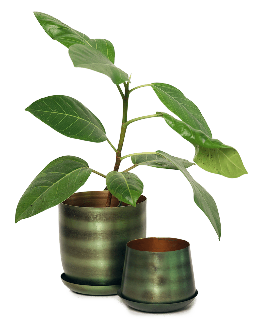 Joe Metal Pot With Drainage Hole | 3 & 5 inch - Chive Ceramics Studio - Pots - Chive Ceramics Studio