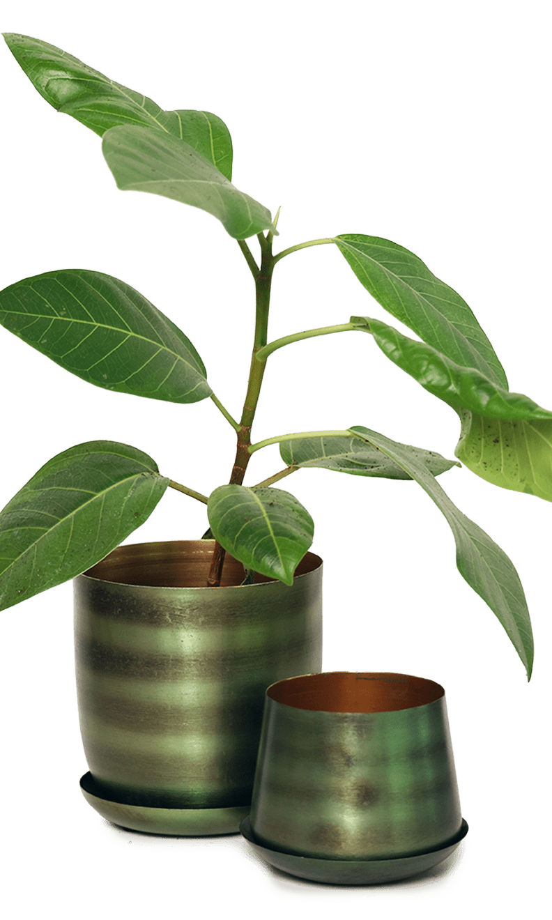 Joe Metal Pot With Drainage Hole | 3 & 5 inch - Chive Ceramics Studio - Pots - Chive Ceramics Studio