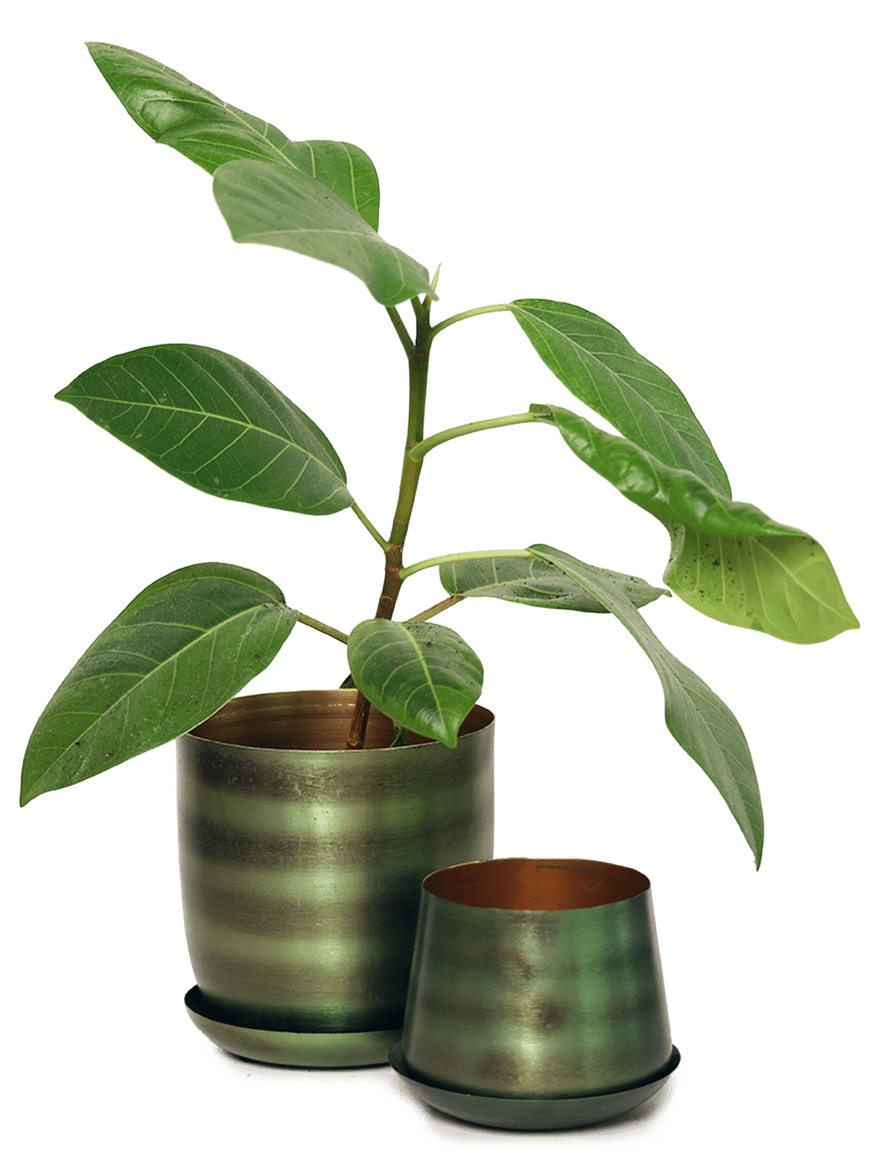 Joe Metal Pot With Drainage Hole | 3 & 5 inch - Chive Ceramics Studio - Pots - Chive Ceramics Studio