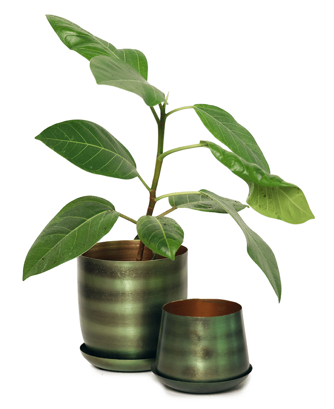 Joe Metal Pot With Drainage Hole | 3 & 5 inch - Chive Ceramics Studio - Pots - Chive Ceramics Studio