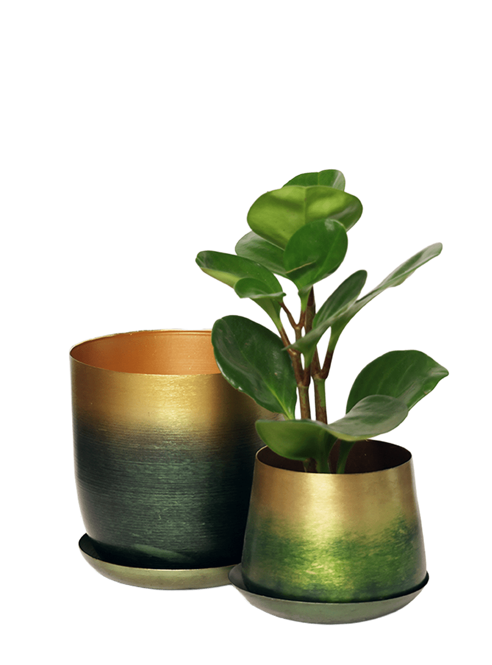 Joe Metal Pot With Drainage Hole | 3 & 5 inch - Chive Ceramics Studio - Pots - Chive Ceramics Studio