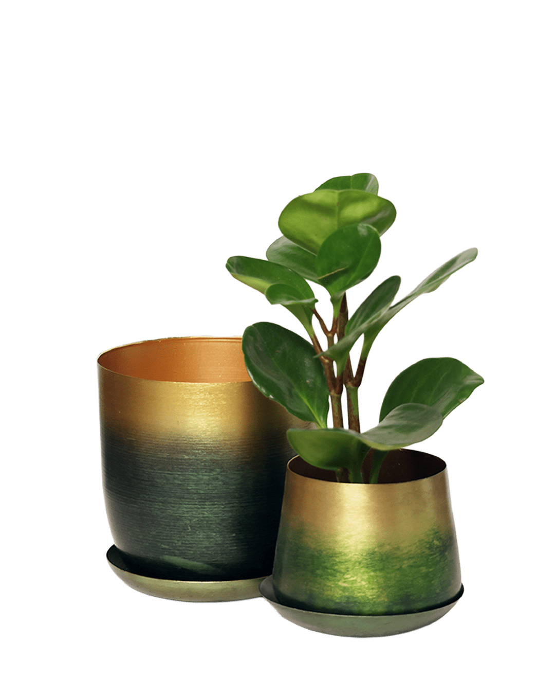 Joe Metal Pot With Drainage Hole | 3 & 5 inch - Chive Ceramics Studio - Pots - Chive Ceramics Studio