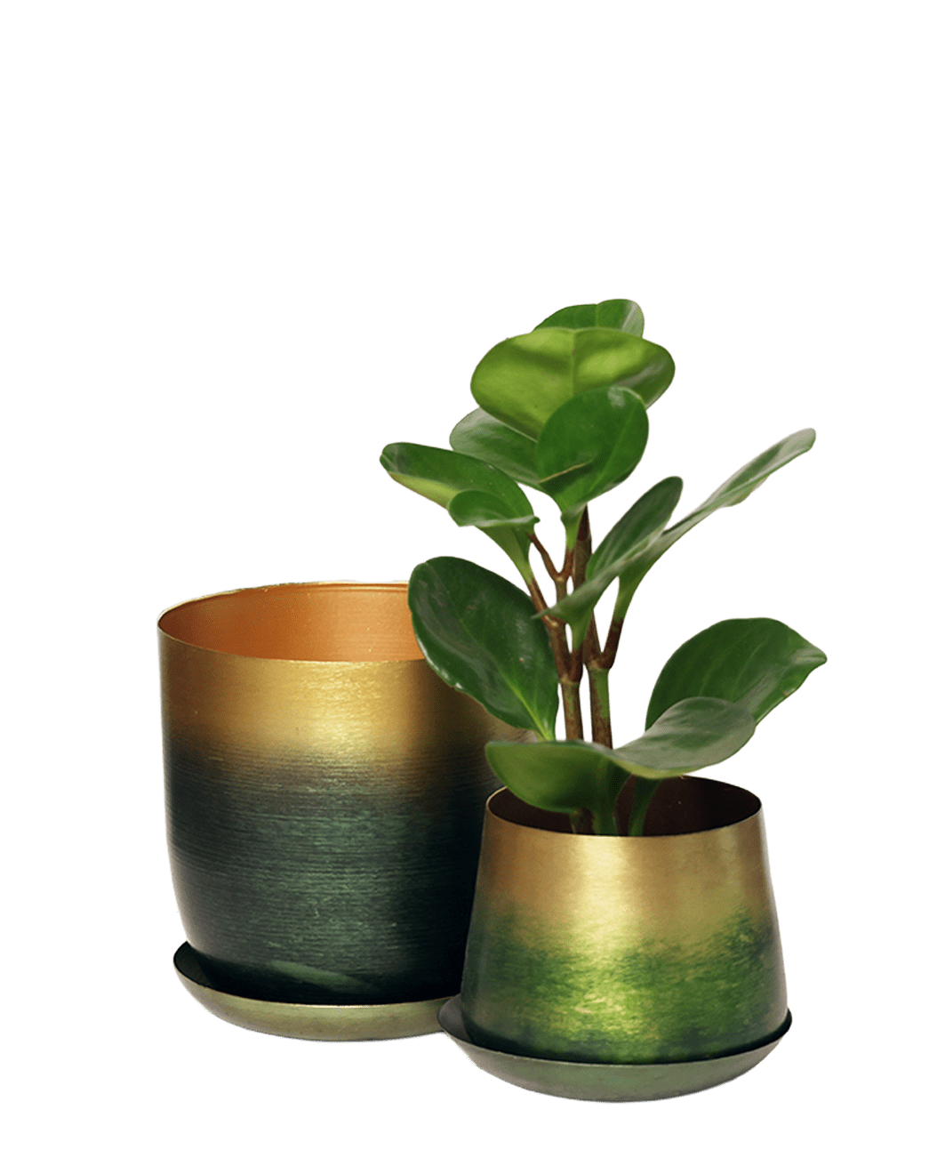 Joe Metal Pot With Drainage Hole | 3 & 5 inch - Chive Ceramics Studio - Pots - Chive Ceramics Studio