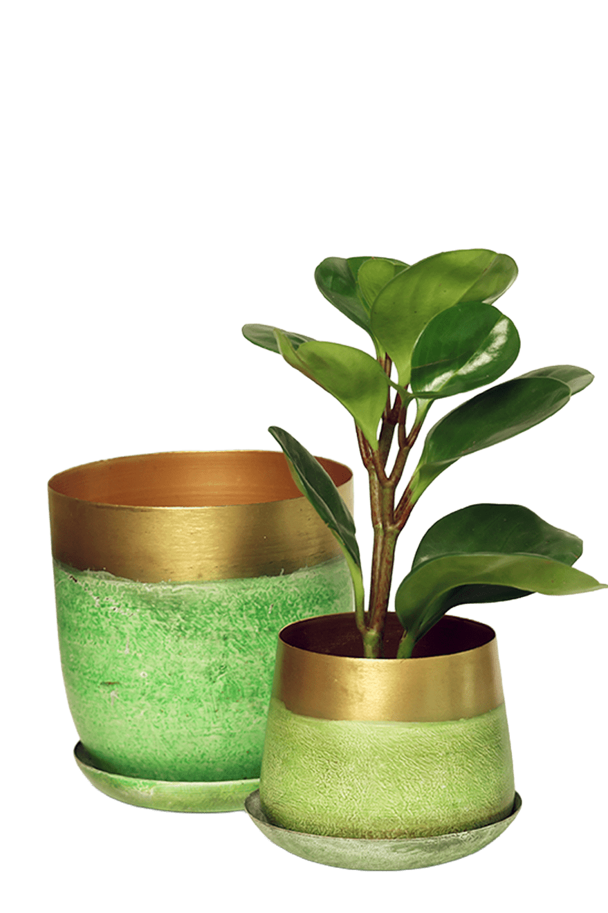 Joe Metal Pot With Drainage Hole | 3 & 5 inch - Chive Ceramics Studio - Pots - Chive Ceramics Studio