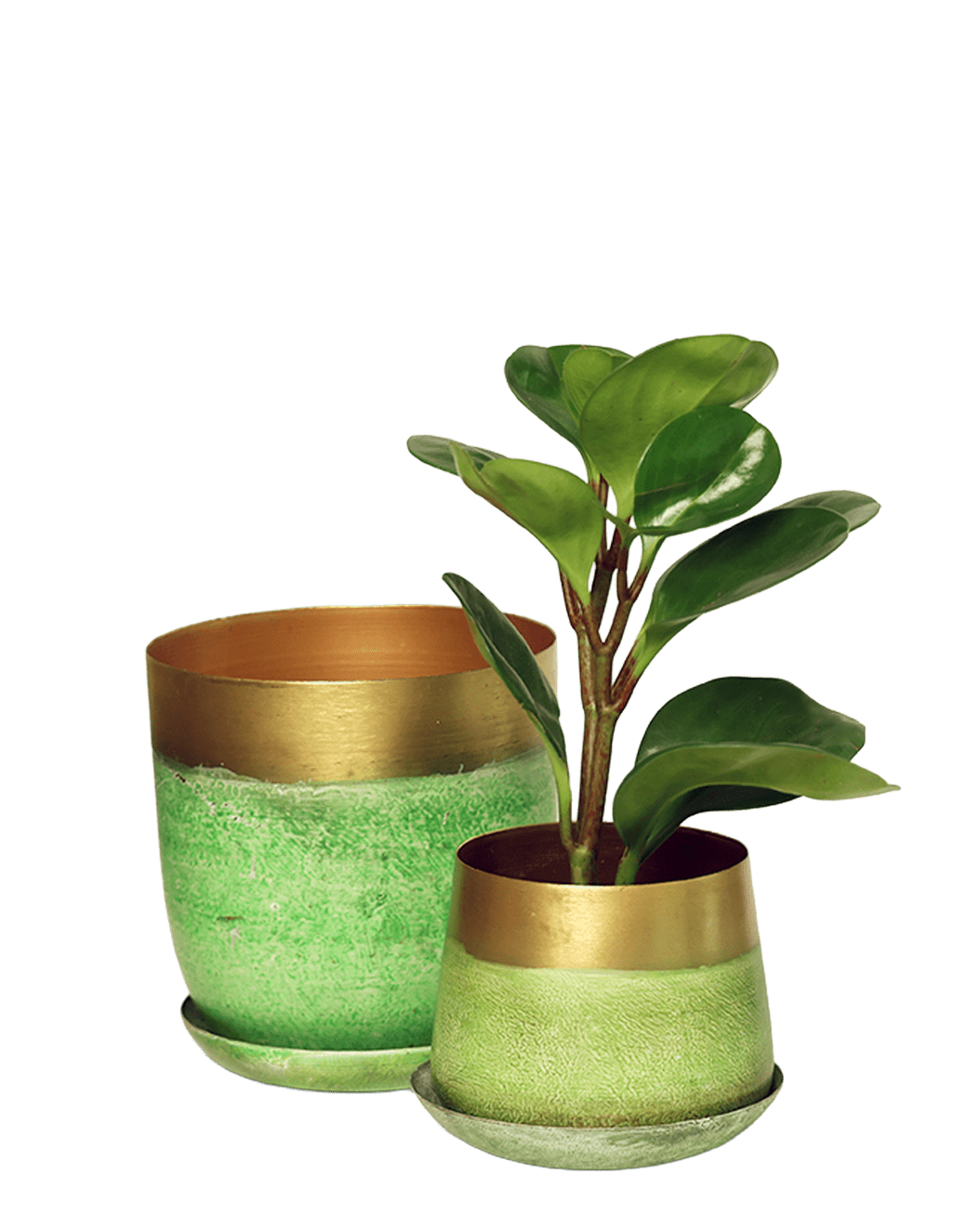 Joe Metal Pot With Drainage Hole | 3 & 5 inch - Chive Ceramics Studio - Pots - Chive Ceramics Studio