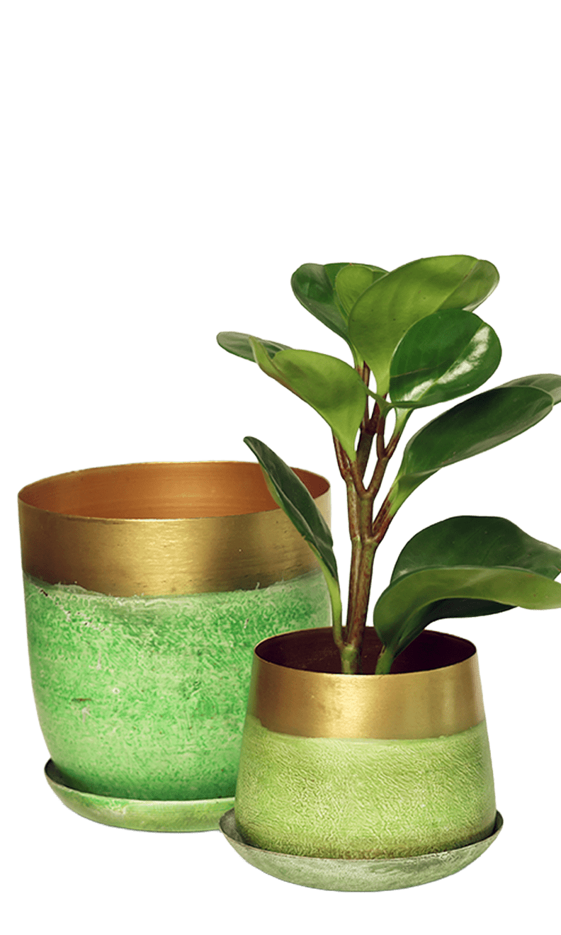 Joe Metal Pot With Drainage Hole | 3 & 5 inch - Chive Ceramics Studio - Pots - Chive Ceramics Studio