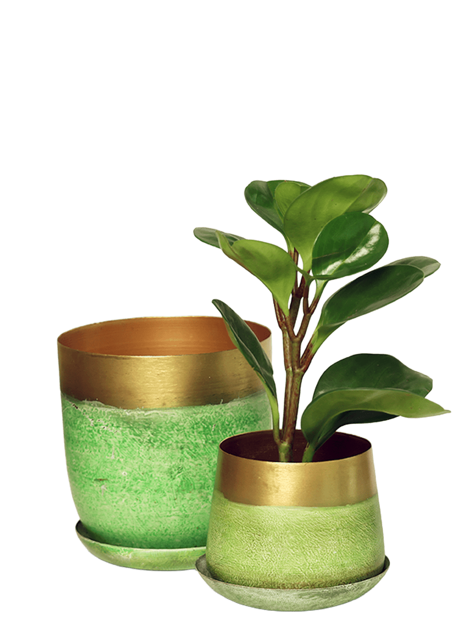 Joe Metal Pot With Drainage Hole | 3 & 5 inch - Chive Ceramics Studio - Pots - Chive Ceramics Studio