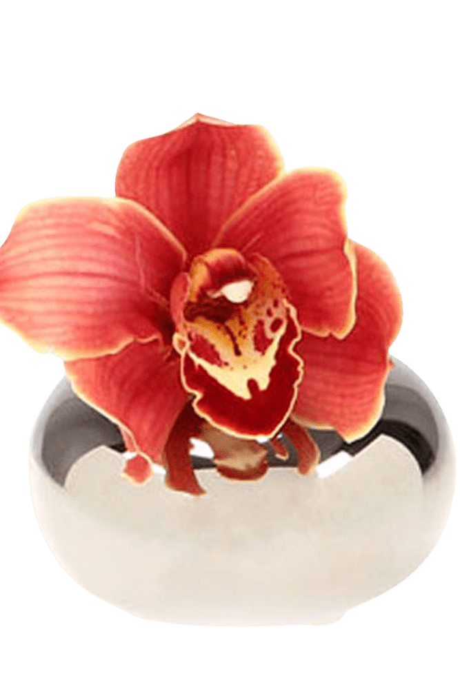 Jojo Ceramic Bud Vase For Flowers - Chive Ceramics Studio - Vases - Chive US