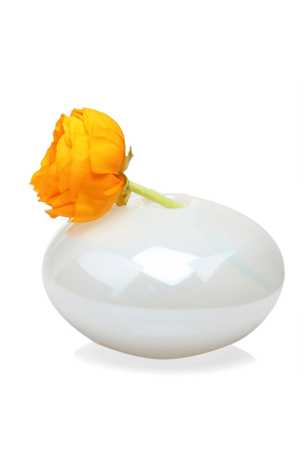 Jordan Glass Modern Flower Vase - Chive Ceramics Studio - Vases - Chive Ceramics Studio