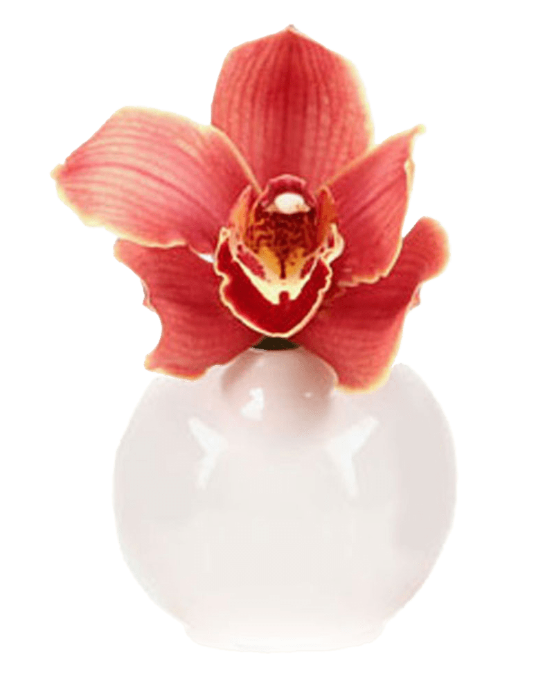 Jojo Ceramic Bud Vase For Flowers - Chive Ceramics Studio - Vases - Chive US