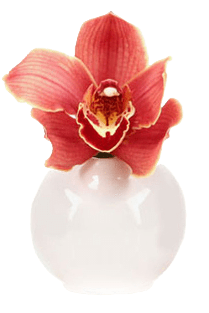 Jojo Ceramic Bud Vase For Flowers - Chive Ceramics Studio - Vases - Chive US