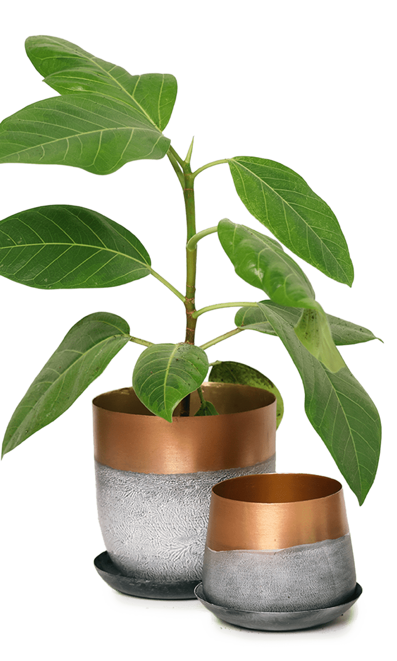 Joe Metal Pot With Drainage Hole | 3 & 5 inch - Chive Ceramics Studio - Pots - Chive Ceramics Studio