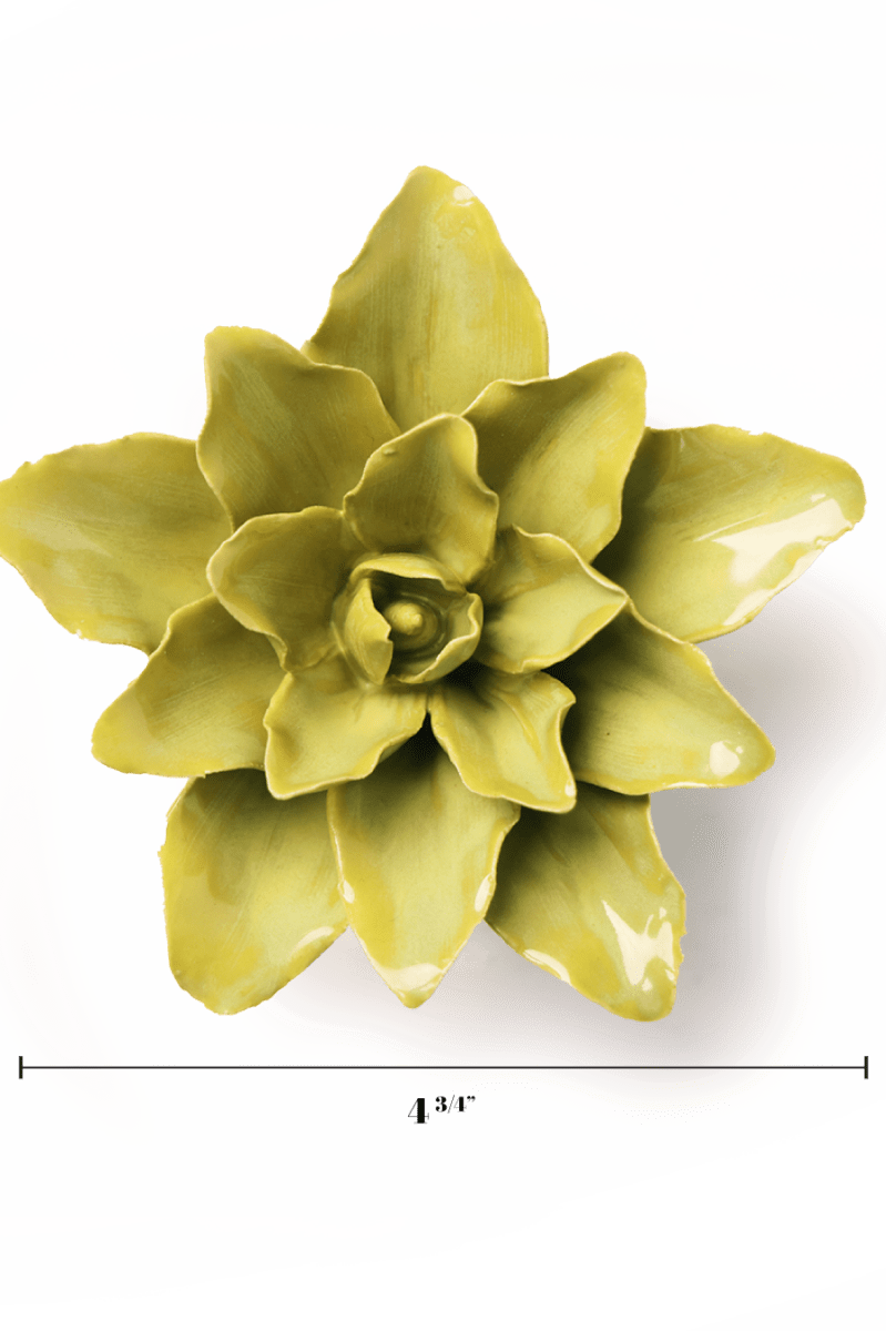 July Birth Flower - Water Lily ceramic wall flower — Birth Flower Collection — handmade by Chive Studio Toronto