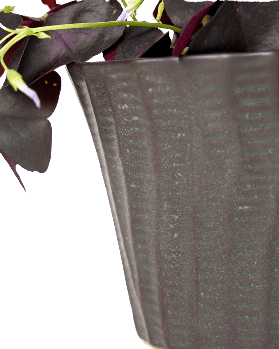 Katakana Ceramic Pot Planter - Chive Ceramics Studio - Pots - Chive Ceramics Studio