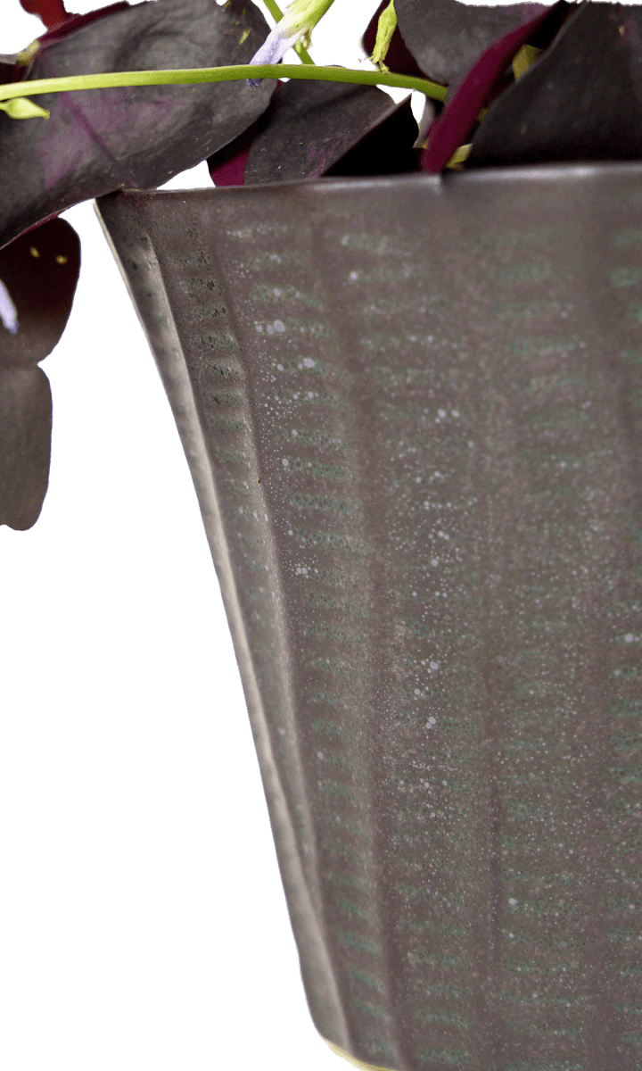 Katakana Ceramic Pot Planter - Chive Ceramics Studio - Pots - Chive Ceramics Studio