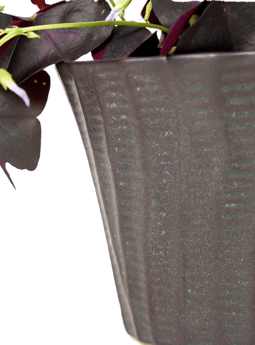 Katakana Ceramic Pot Planter - Chive Ceramics Studio - Pots - Chive Ceramics Studio