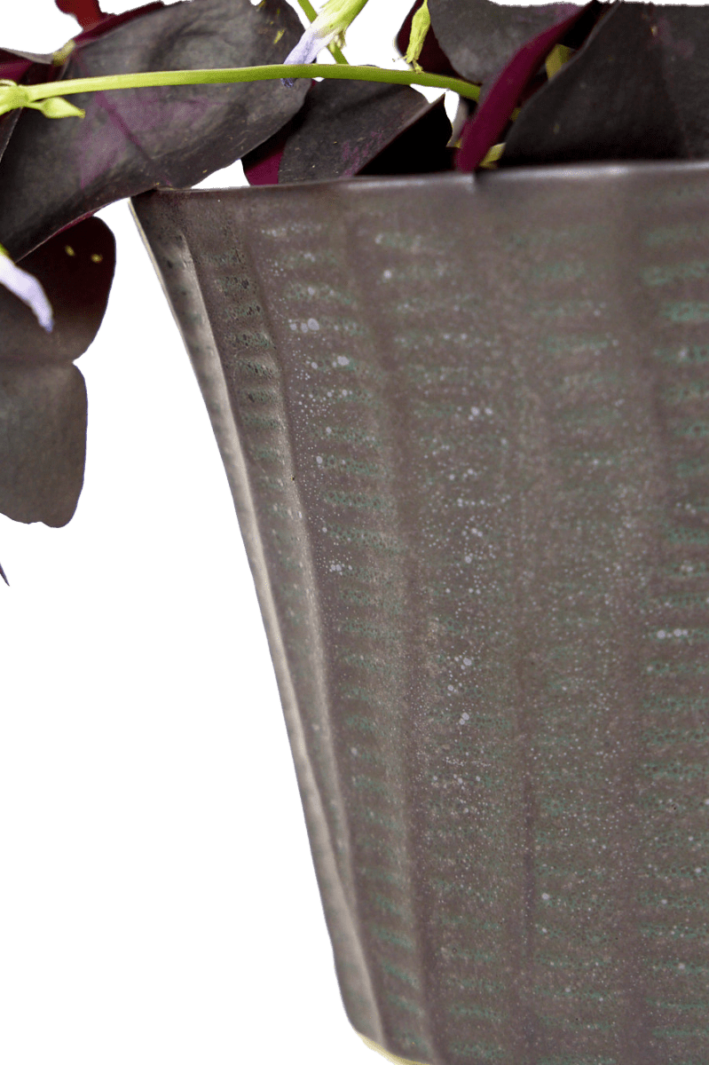 Katakana Ceramic Pot Planter - Chive Ceramics Studio - Pots - Chive Ceramics Studio