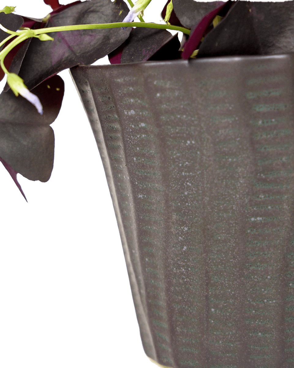 Katakana Ceramic Pot Planter - Chive Ceramics Studio - Pots - Chive Ceramics Studio