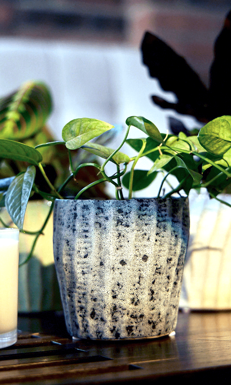 Katakana Ceramic Pot Planter - Chive Ceramics Studio - Pots - Chive Ceramics Studio