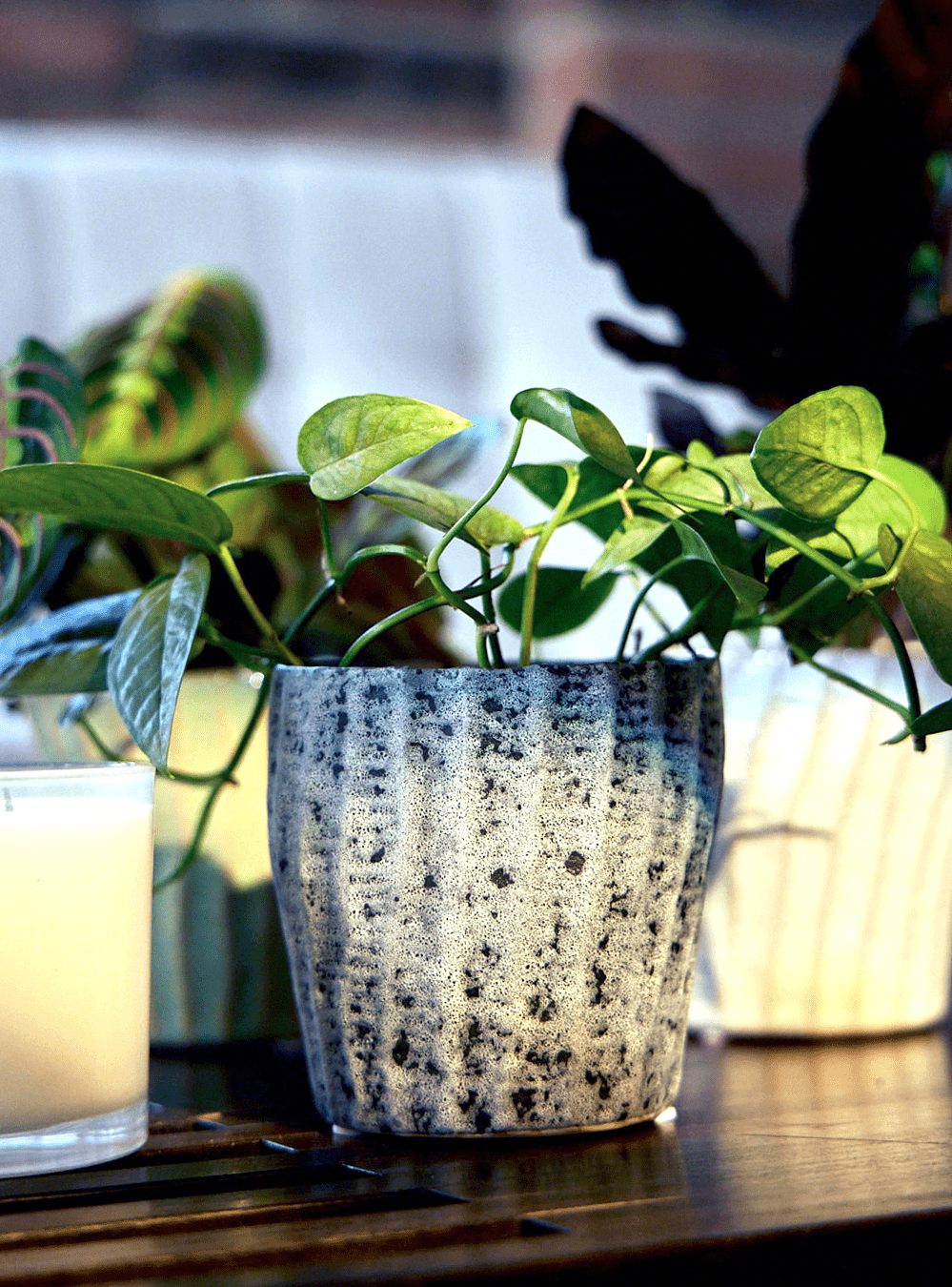 Katakana Ceramic Pot Planter - Chive Ceramics Studio - Pots - Chive Ceramics Studio