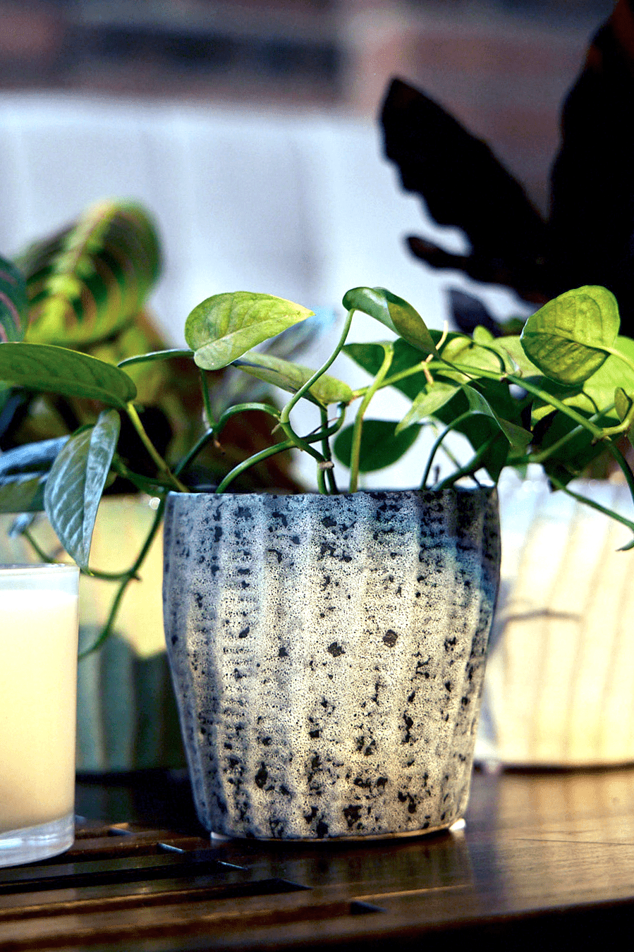 Katakana Ceramic Pot Planter - Chive Ceramics Studio - Pots - Chive Ceramics Studio