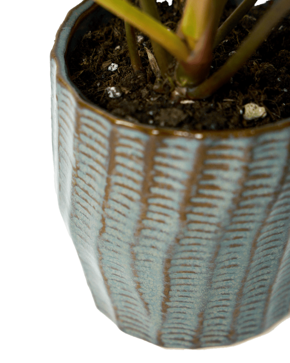 Katakana Ceramic Pot Planter - Chive Ceramics Studio - Pots - Chive Ceramics Studio