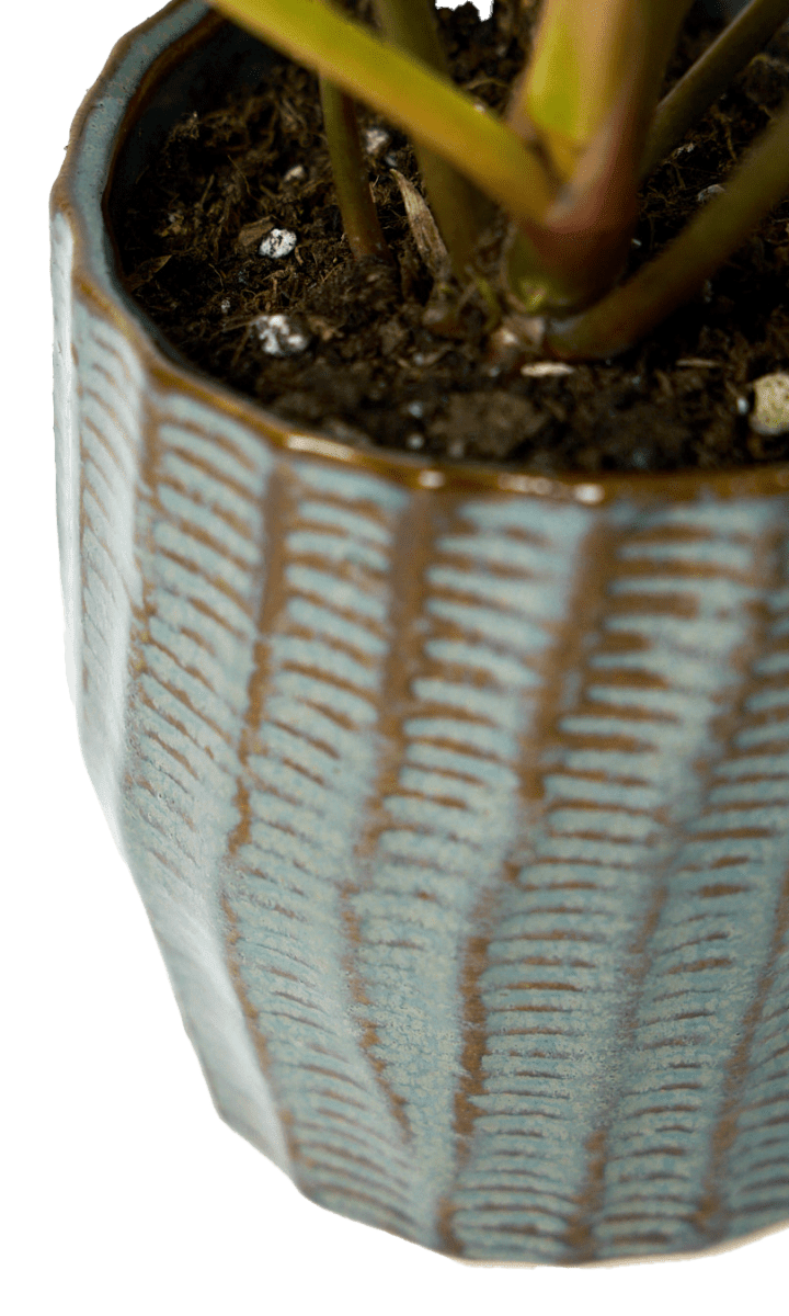 Katakana Ceramic Pot Planter - Chive Ceramics Studio - Pots - Chive Ceramics Studio