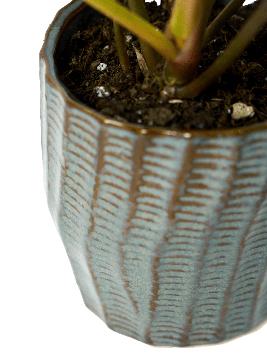 Katakana Ceramic Pot Planter - Chive Ceramics Studio - Pots - Chive Ceramics Studio