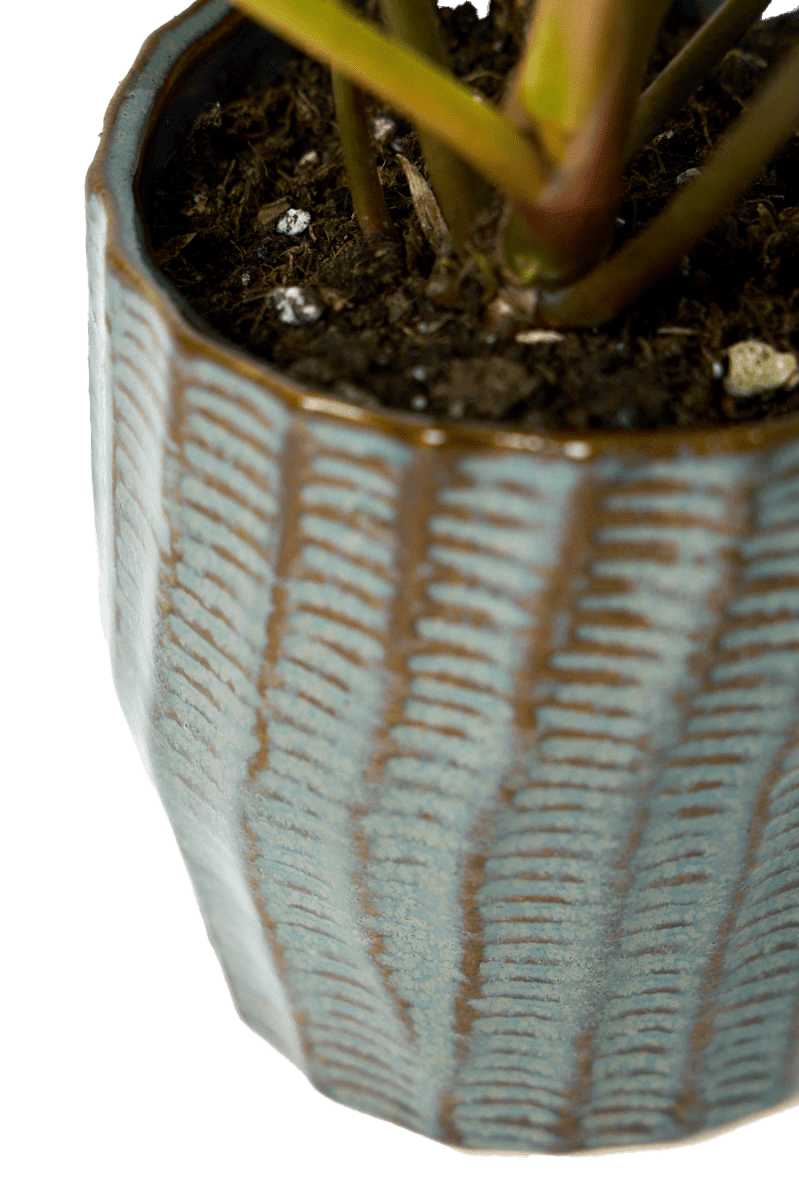 Katakana Ceramic Pot Planter - Chive Ceramics Studio - Pots - Chive Ceramics Studio