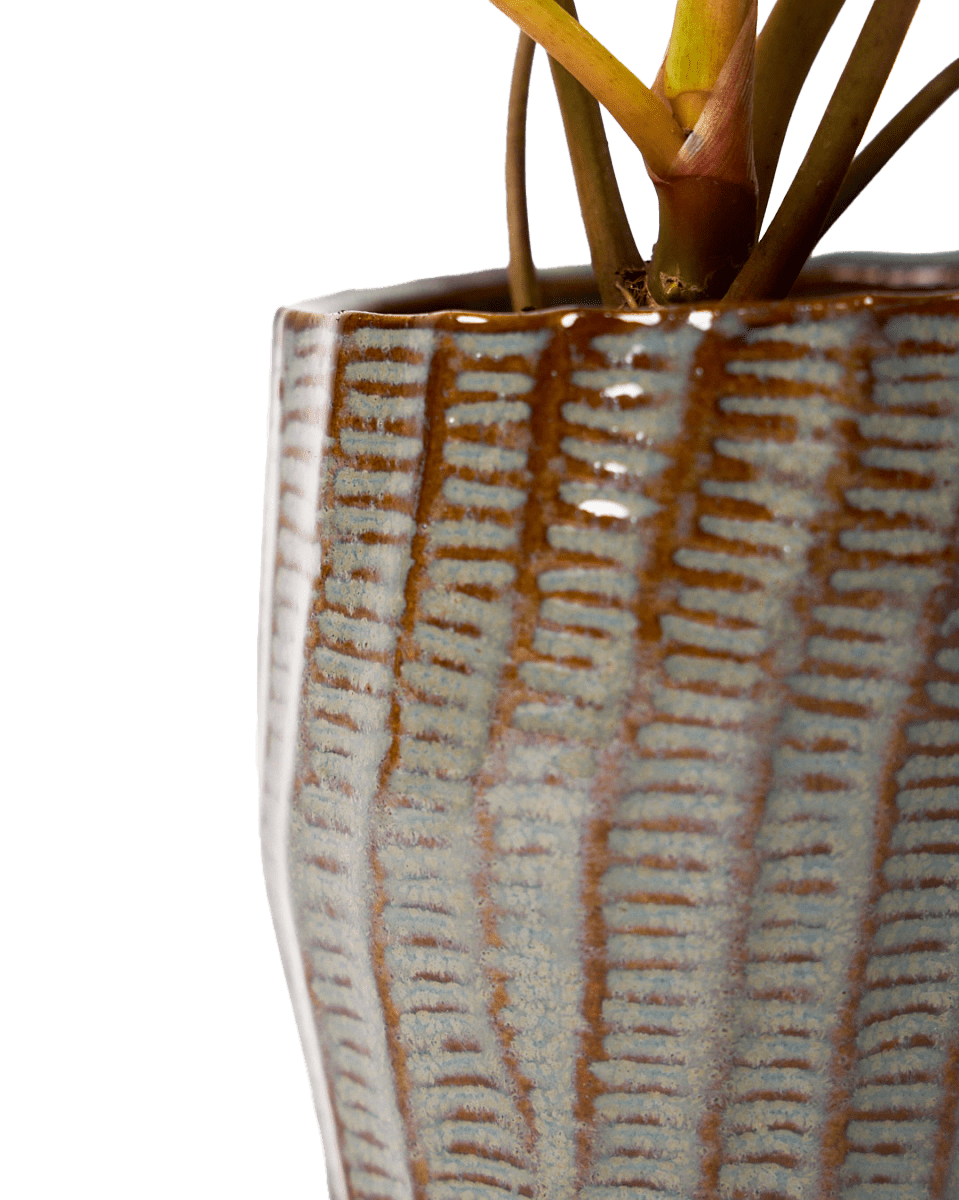 Katakana Ceramic Pot Planter - Chive Ceramics Studio - Pots - Chive Ceramics Studio