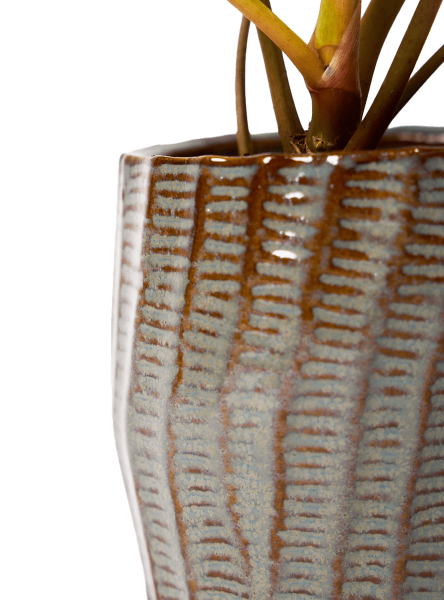 Katakana Ceramic Pot Planter - Chive Ceramics Studio - Pots - Chive Ceramics Studio