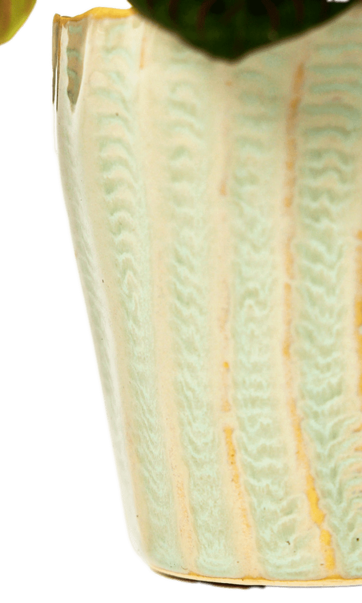 Katakana Ceramic Pot Planter - Chive Ceramics Studio - Pots - Chive Ceramics Studio