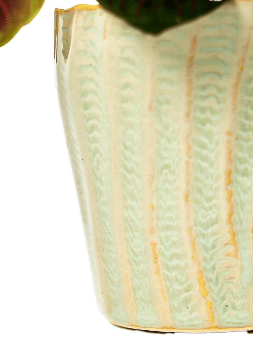 Katakana Ceramic Pot Planter - Chive Ceramics Studio - Pots - Chive Ceramics Studio