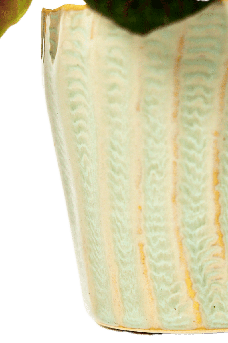 Katakana Ceramic Pot Planter - Chive Ceramics Studio - Pots - Chive Ceramics Studio