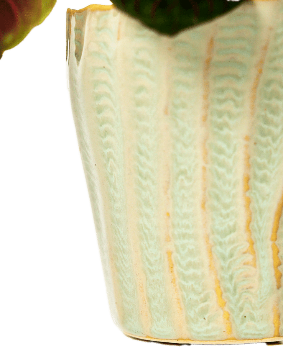 Katakana Ceramic Pot Planter - Chive Ceramics Studio - Pots - Chive Ceramics Studio