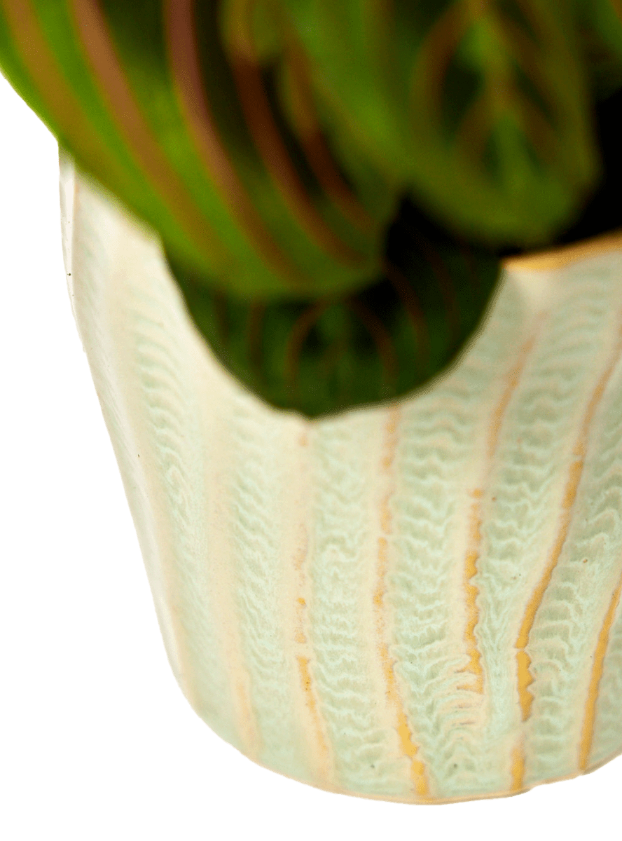 Katakana Ceramic Pot Planter - Chive Ceramics Studio - Pots - Chive Ceramics Studio