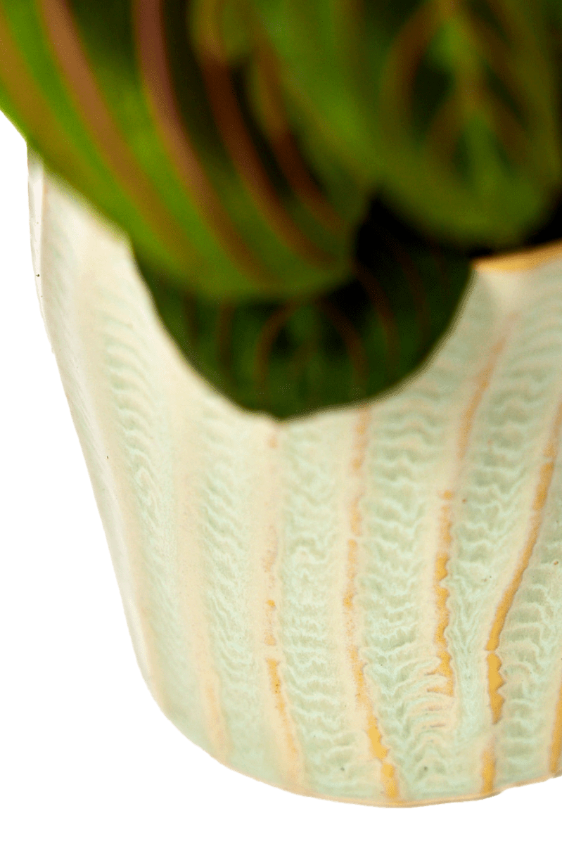 Katakana Ceramic Pot Planter - Chive Ceramics Studio - Pots - Chive Ceramics Studio