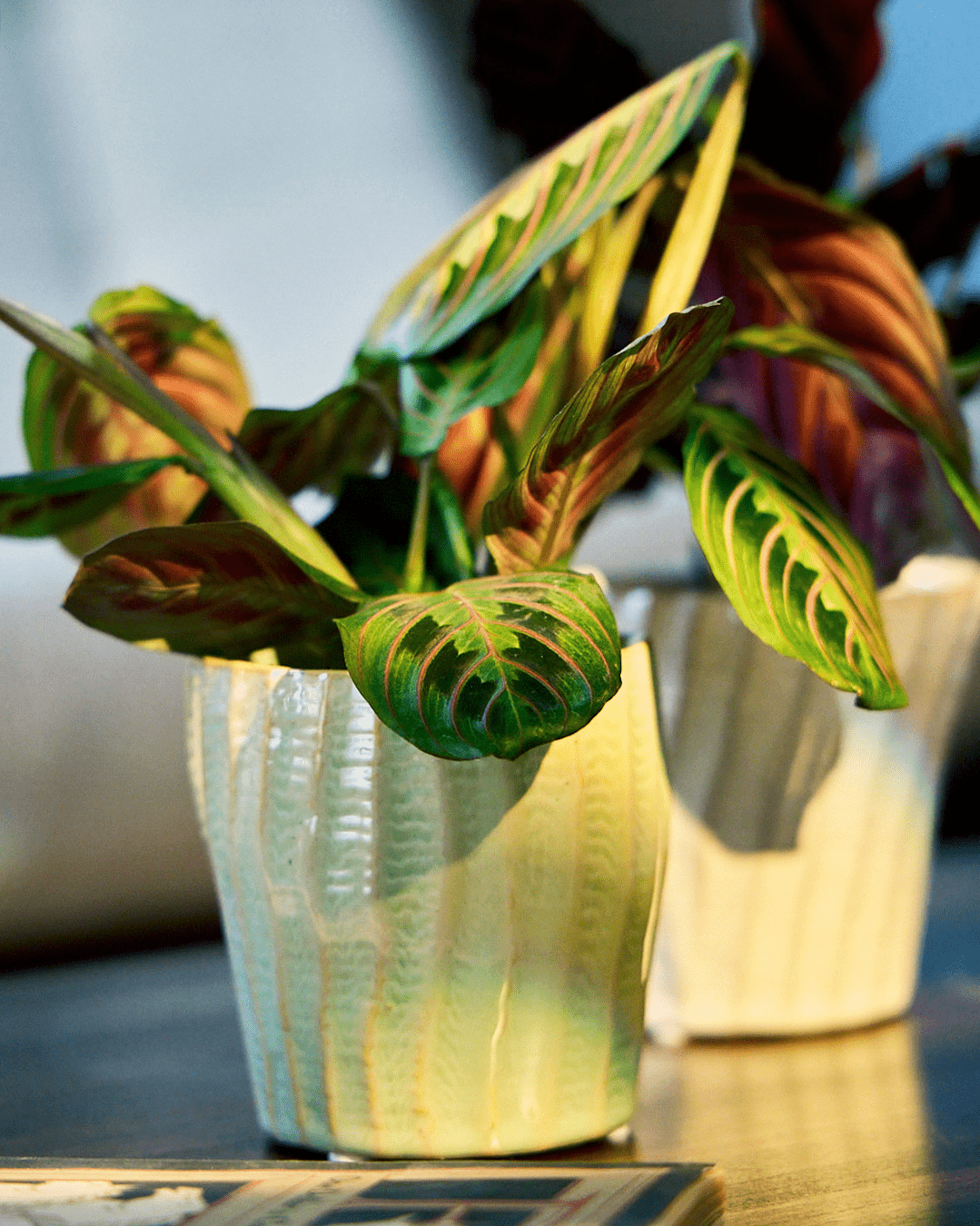 Katakana Ceramic Pot Planter - Chive Ceramics Studio - Pots - Chive Ceramics Studio