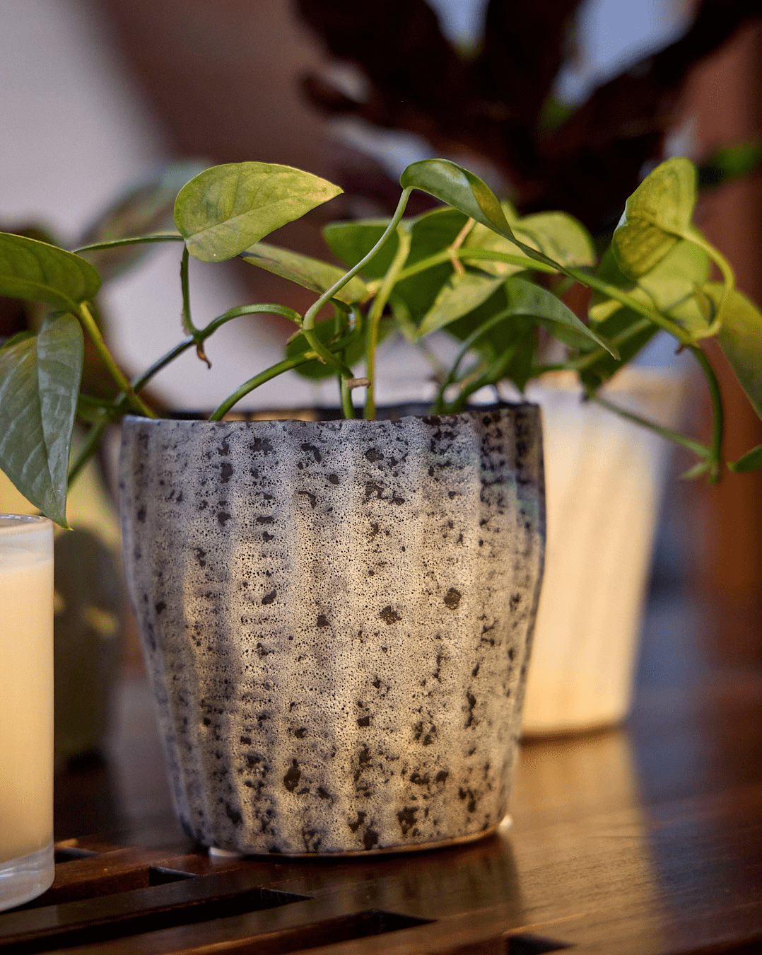 Katakana Ceramic Pot Planter - Chive Ceramics Studio - Pots - Chive Ceramics Studio