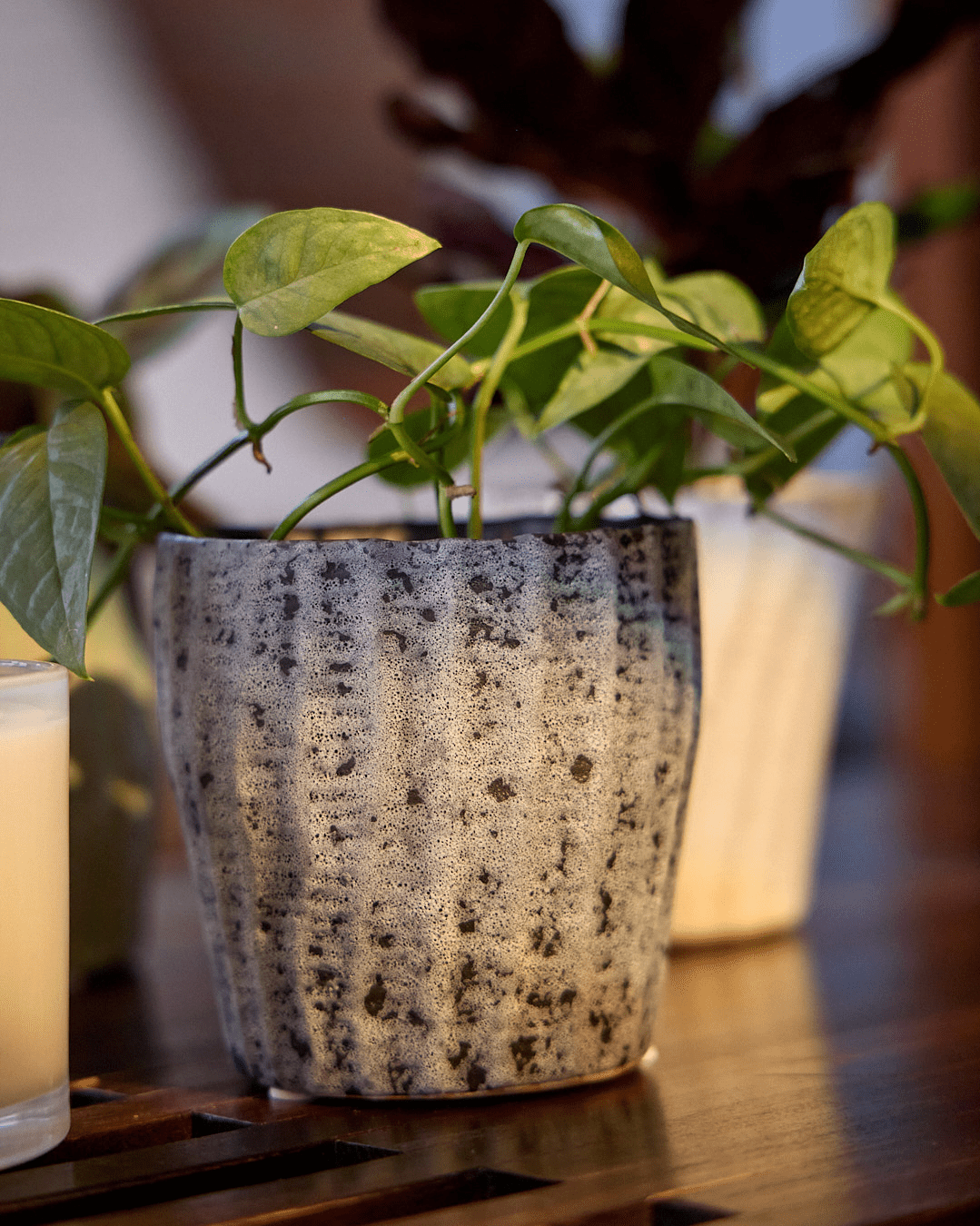 Katakana Ceramic Pot Planter - Chive Ceramics Studio - Pots - Chive Ceramics Studio