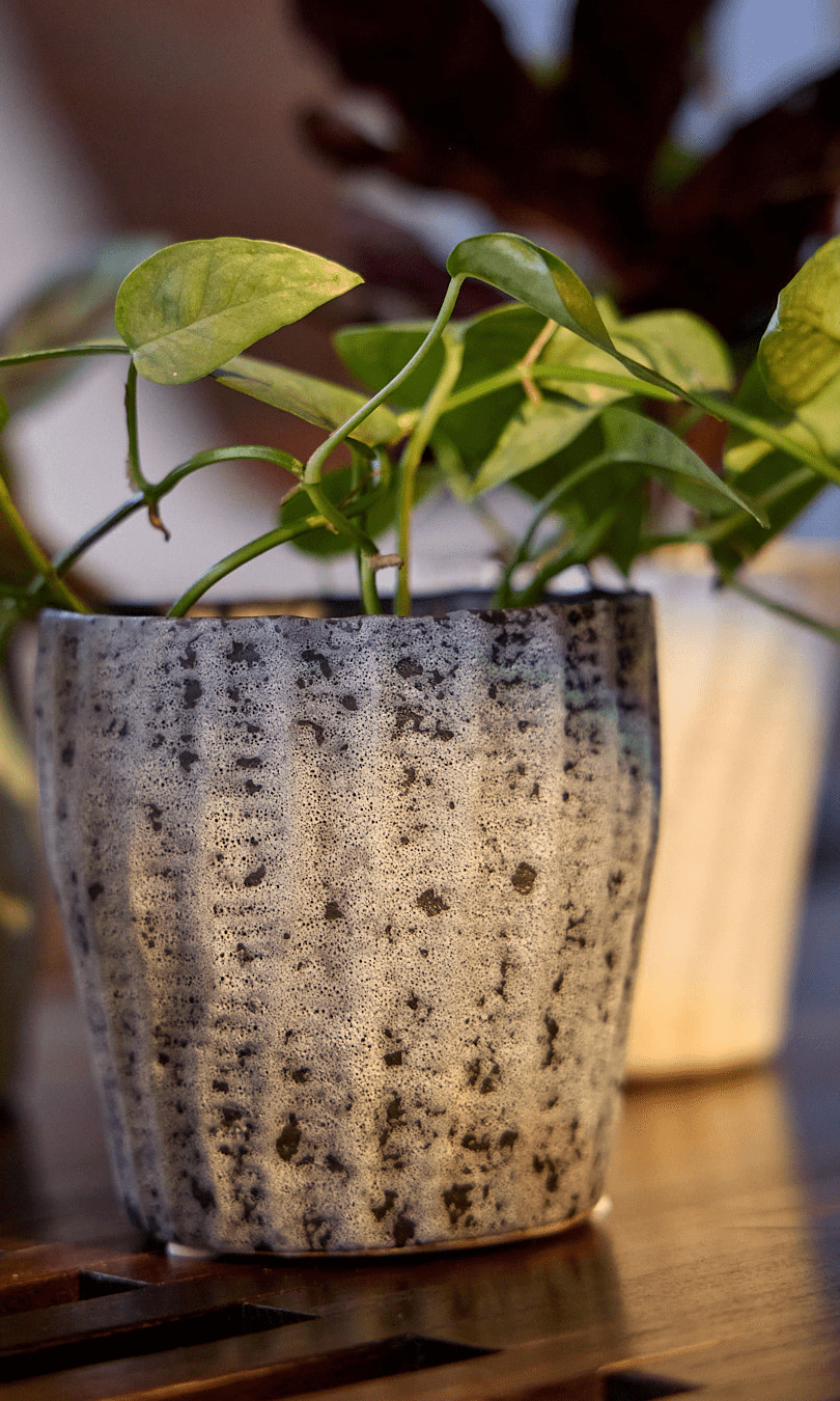 Katakana Ceramic Pot Planter - Chive Ceramics Studio - Pots - Chive Ceramics Studio