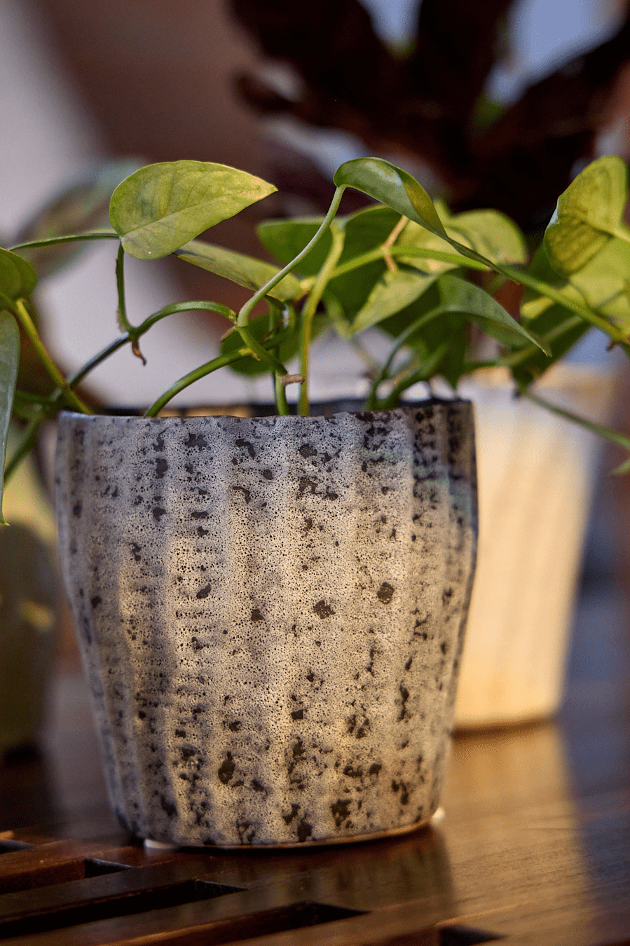 Katakana Ceramic Pot Planter - Chive Ceramics Studio - Pots - Chive Ceramics Studio