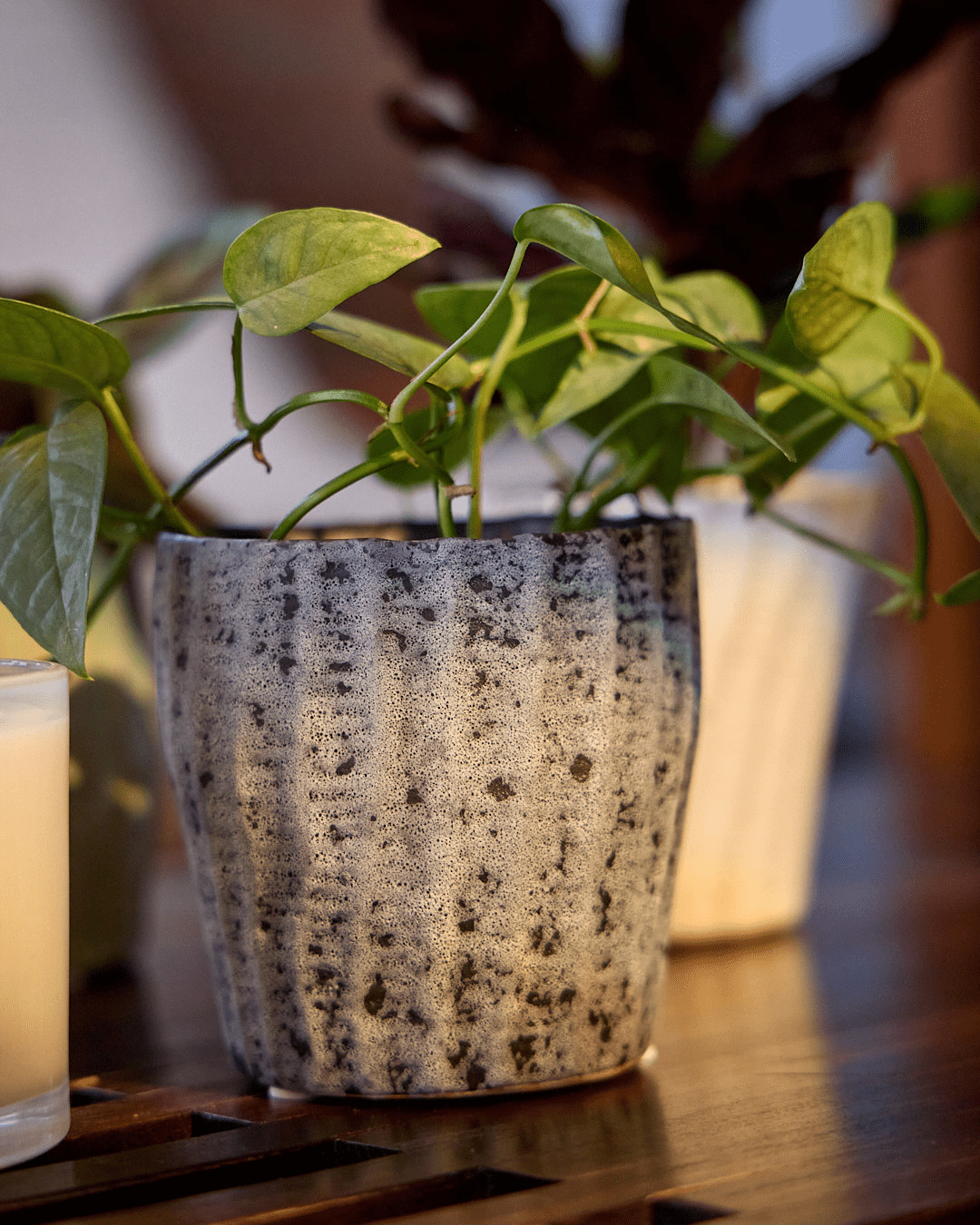 Katakana Ceramic Pot Planter - Chive Ceramics Studio - Pots - Chive Ceramics Studio