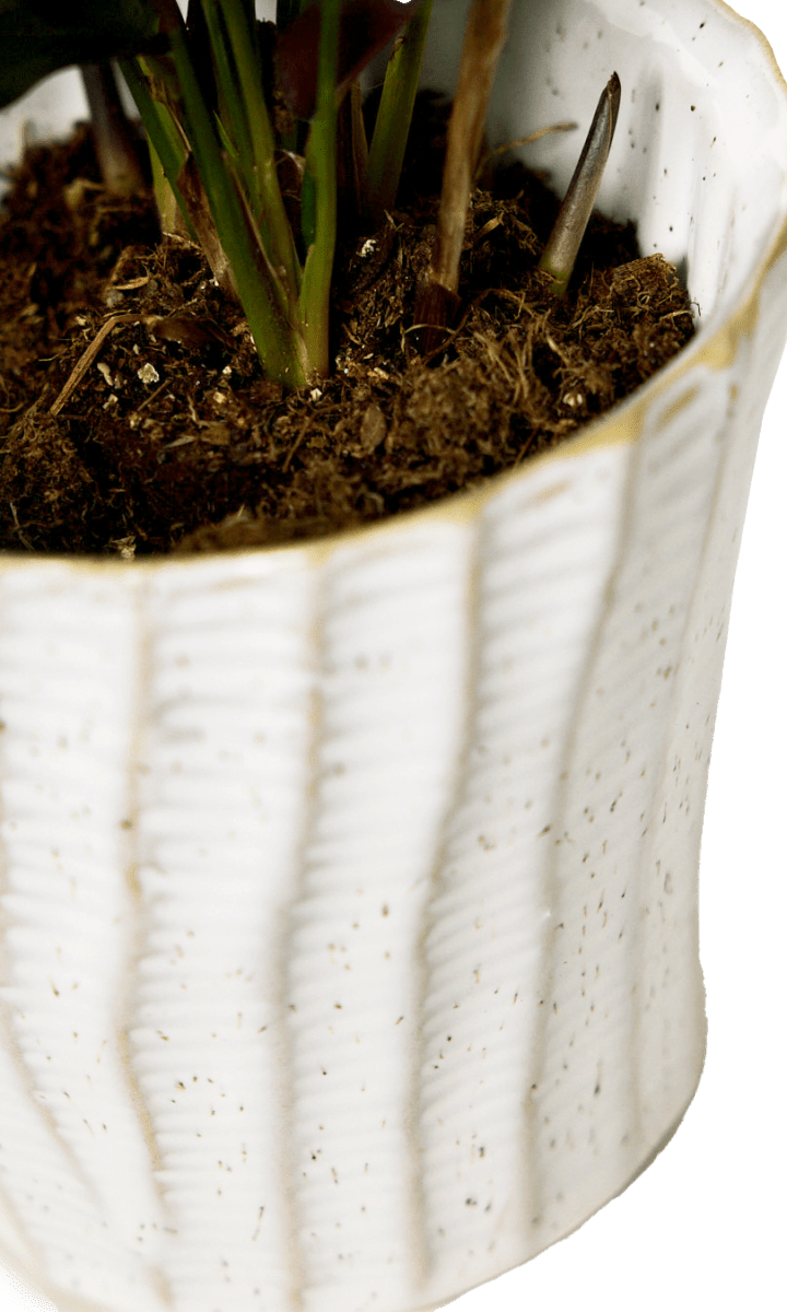 Katakana Ceramic Pot Planter - Chive Ceramics Studio - Pots - Chive Ceramics Studio